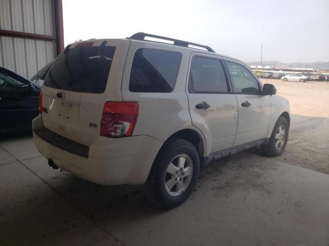 2011 Ford Escape XLT