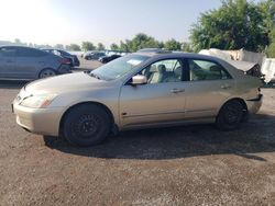 Salvage cars for sale from Copart Ontario Auction, ON: 2004 Honda Accord EX