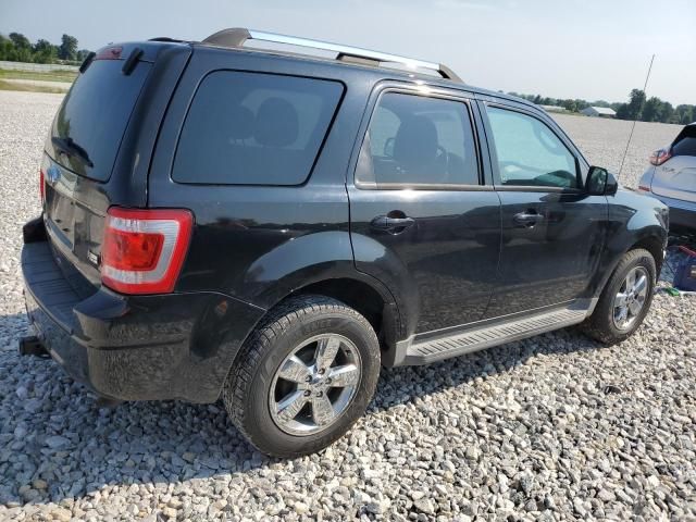 2010 Ford Escape Limited