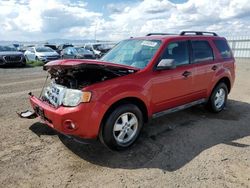 Ford salvage cars for sale: 2010 Ford Escape XLT