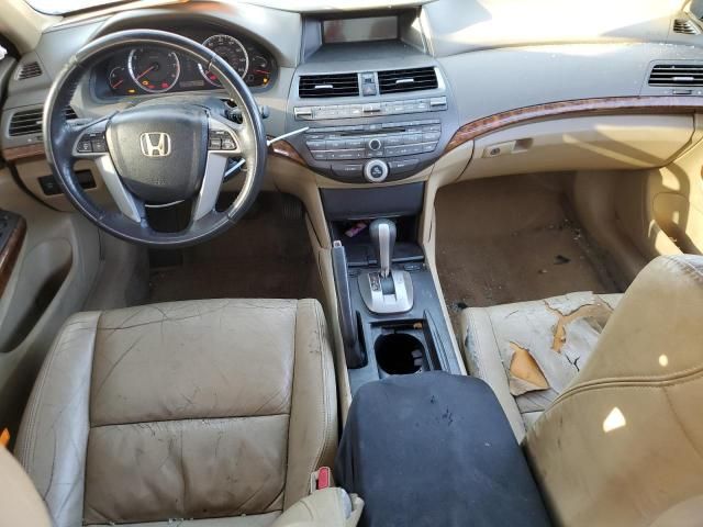 2009 Honda Accord EXL