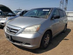 Honda Vehiculos salvage en venta: 2006 Honda Odyssey EXL