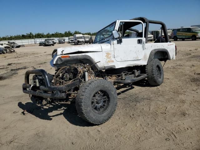 1995 Jeep Wrangler / YJ S