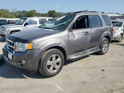 2012 Ford Escape Limited for sale in Lebanon, TN