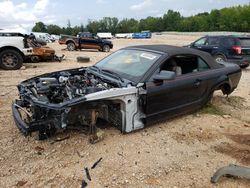 Ford Vehiculos salvage en venta: 2009 Ford Mustang