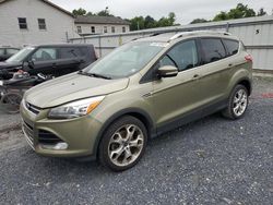 Salvage cars for sale from Copart York Haven, PA: 2013 Ford Escape Titanium