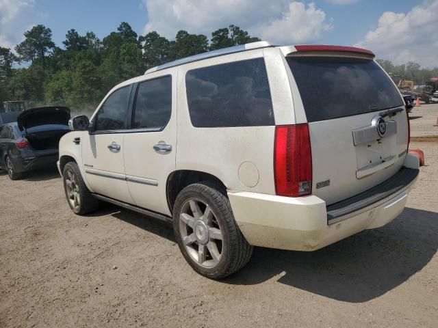 2010 Cadillac Escalade Premium