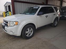 Ford salvage cars for sale: 2011 Ford Escape XLT