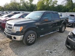 Ford f-150 salvage cars for sale: 2013 Ford F150 Supercrew