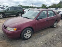 Salvage cars for sale from Copart Hillsborough, NJ: 1998 Toyota Corolla VE