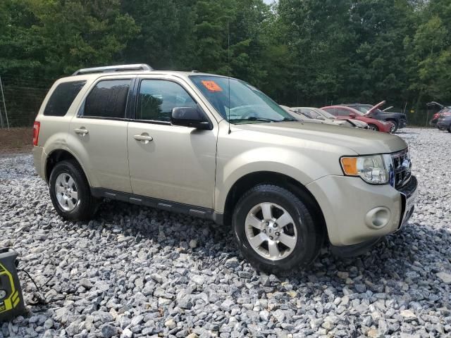 2012 Ford Escape Limited