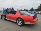 1985 Pontiac Firebird Trans AM