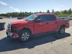 Ford f-150 salvage cars for sale: 2014 Ford F150 Supercrew