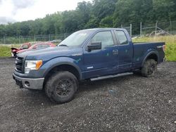 Ford salvage cars for sale: 2013 Ford F150 Super Cab