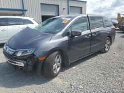 Honda salvage cars for sale: 2019 Honda Odyssey EXL