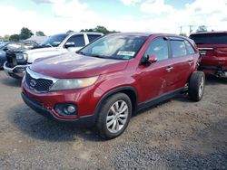 KIA Sorento salvage cars for sale: 2011 KIA Sorento EX