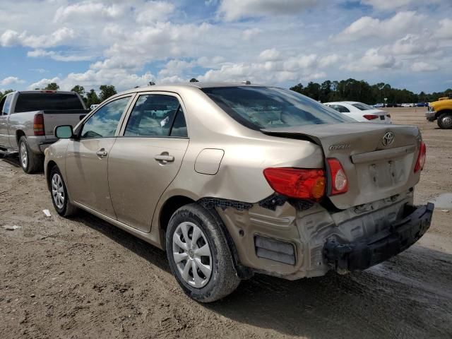 2010 Toyota Corolla Base