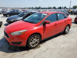 Ford Vehiculos salvage en venta: 2015 Ford Focus SE