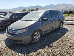 Honda salvage cars for sale: 2012 Honda Odyssey EXL