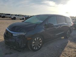 Honda Odyssey exl salvage cars for sale: 2024 Honda Odyssey EXL