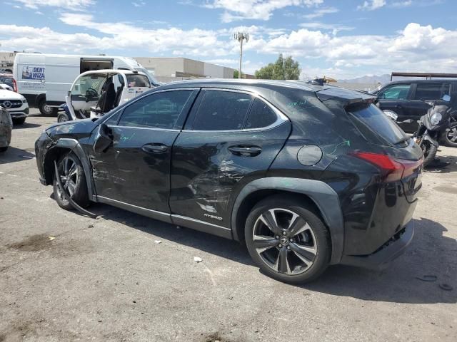 2019 Lexus UX 250H