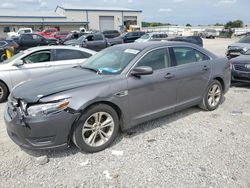 Ford Taurus salvage cars for sale: 2013 Ford Taurus SEL