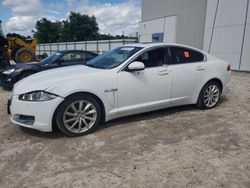 2014 Jaguar XF for sale in Apopka, FL