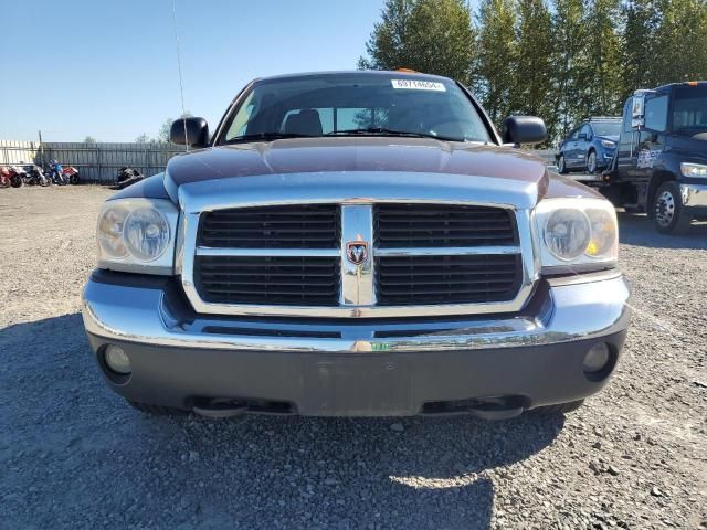 2005 Dodge Dakota SLT