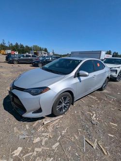 Salvage cars for sale from Copart London, ON: 2018 Toyota Corolla L