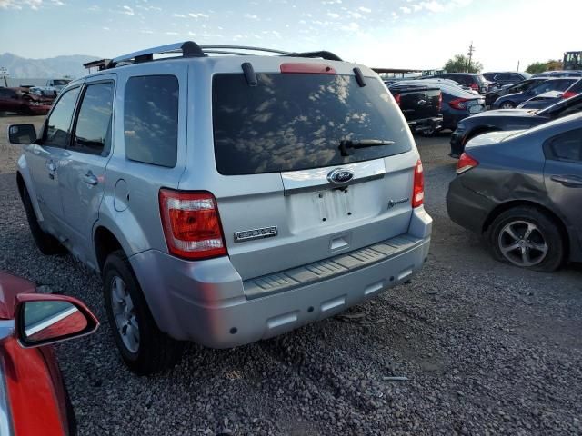 2010 Ford Escape Hybrid