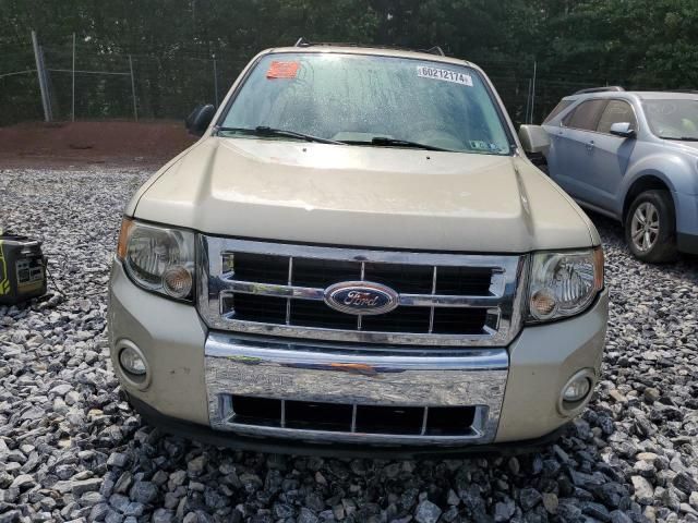 2012 Ford Escape Limited