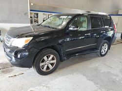 Lexus Vehiculos salvage en venta: 2012 Lexus GX 460