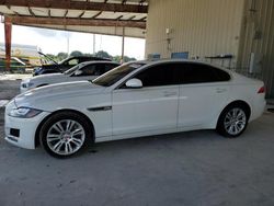 2017 Jaguar XF Premium en venta en Homestead, FL