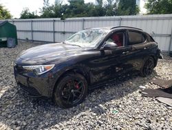 Alfa Romeo Stelvio salvage cars for sale: 2021 Alfa Romeo Stelvio TI