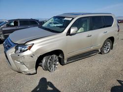 2015 Lexus GX 460 Premium en venta en Helena, MT