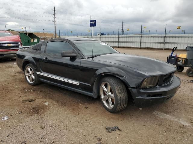 2005 Ford Mustang