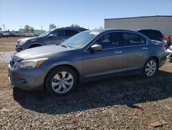 Honda salvage cars for sale: 2008 Honda Accord EXL