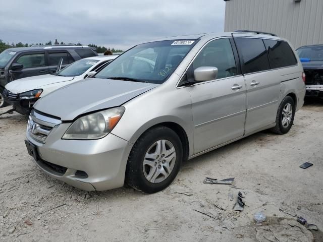 2006 Honda Odyssey EXL