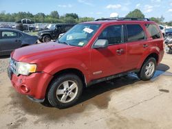 Ford Vehiculos salvage en venta: 2010 Ford Escape XLT