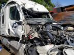 2019 Freightliner Cascadia 126