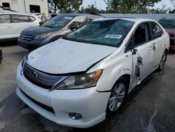 Lexus salvage cars for sale: 2010 Lexus HS 250H