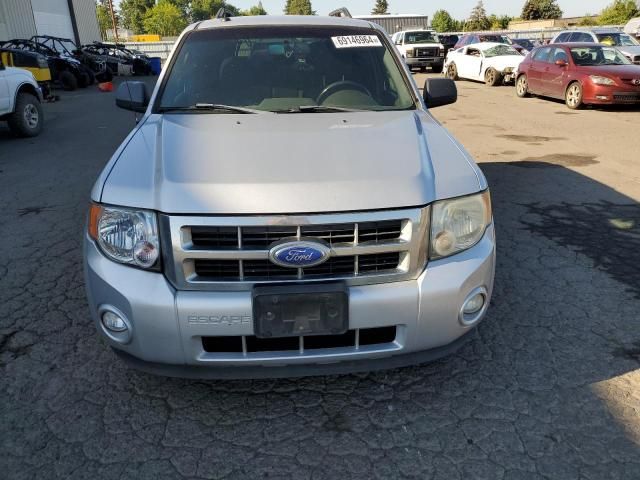 2012 Ford Escape XLT