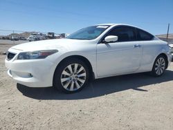 Honda salvage cars for sale: 2010 Honda Accord EXL