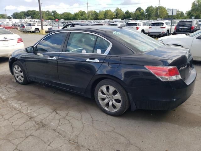 2010 Honda Accord EXL