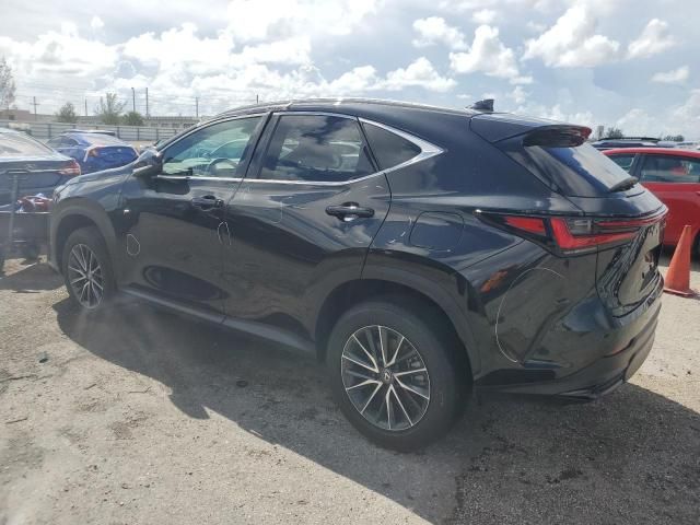 2024 Lexus NX 250 Premium