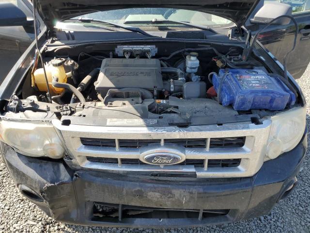 2009 Ford Escape XLT