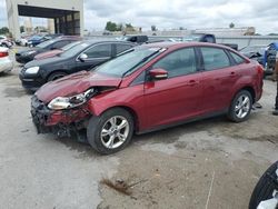 Ford Focus salvage cars for sale: 2013 Ford Focus SE