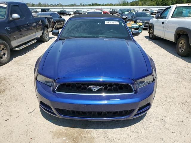 2013 Ford Mustang