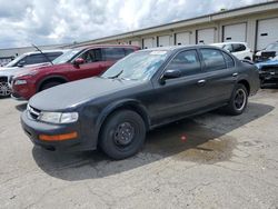 Nissan Maxima salvage cars for sale: 1998 Nissan Maxima GLE