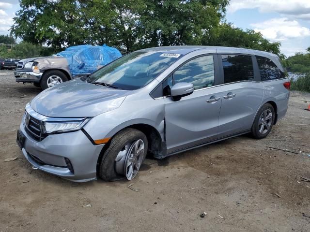 2024 Honda Odyssey EX